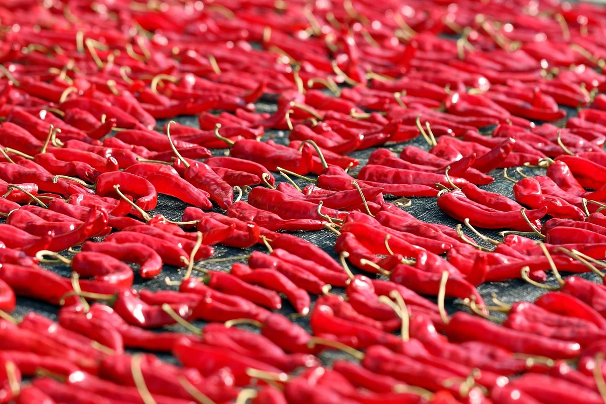 Les piments secs : le vrai secret de la cuisine mexicaine