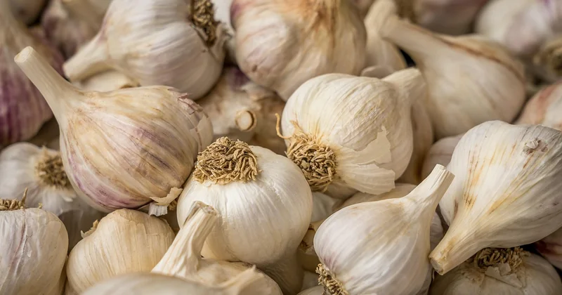 Combien coûte vraiment un dîner végétarien de semaine ?