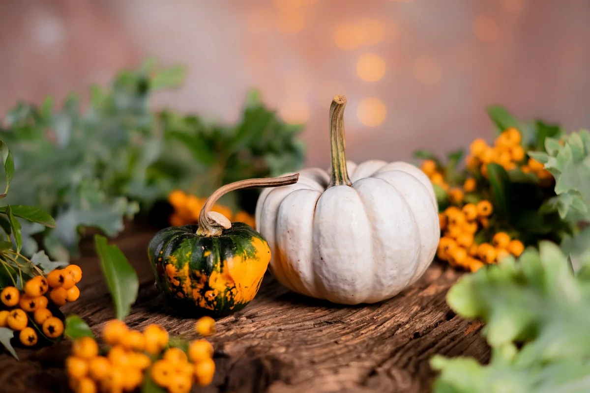 Quels légumes choisir selon la saison